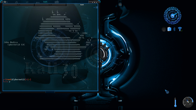 Portfolio Kali Linux