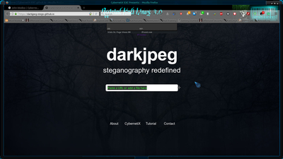 Portfolio service web